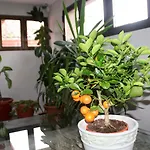 Venta Magullo Szálloda 2*