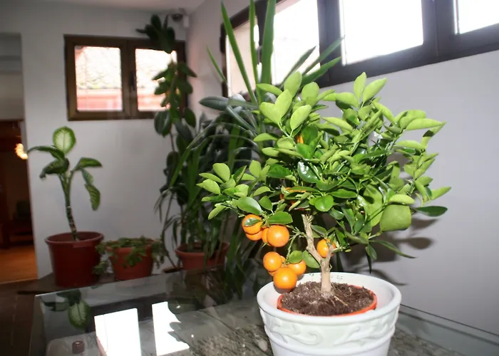 Venta Magullo Hotel 2*